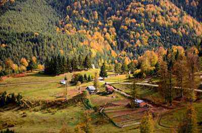 Odayeri Yaylası